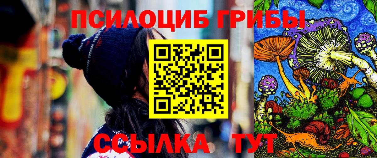 Псилоцибиновые грибы Psilocybine cubensis Курганинск