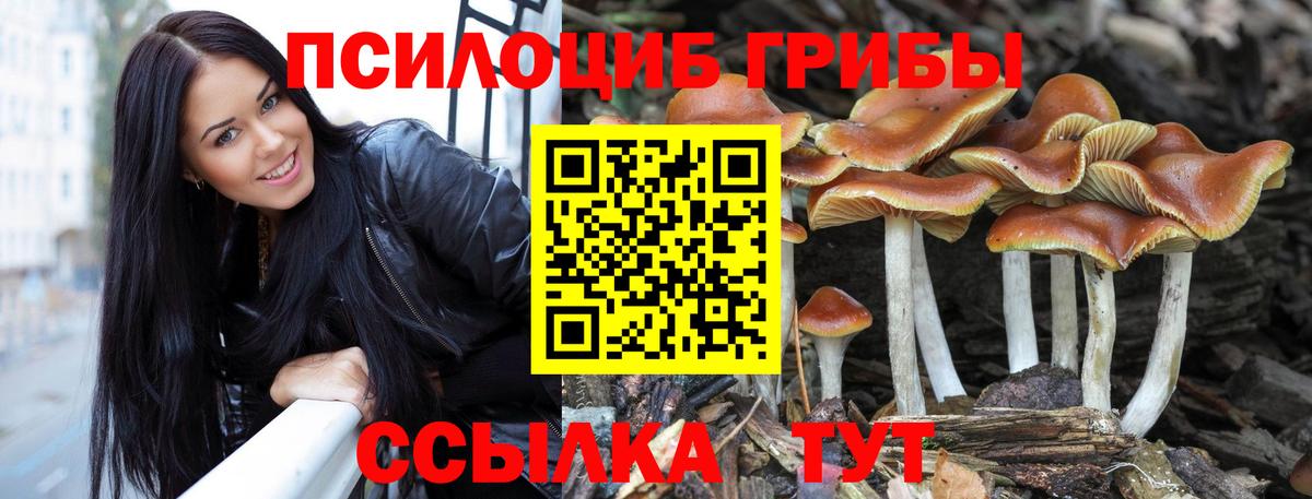 Курганинск  Псилоцибиновые грибы прущие грибы  Вход с VPN 
