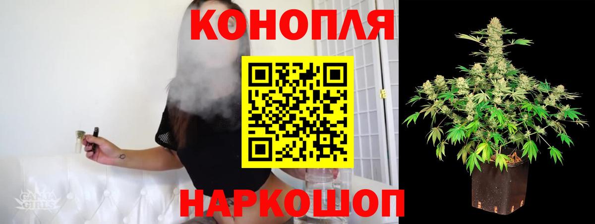 Канабис гибрид Курганинск